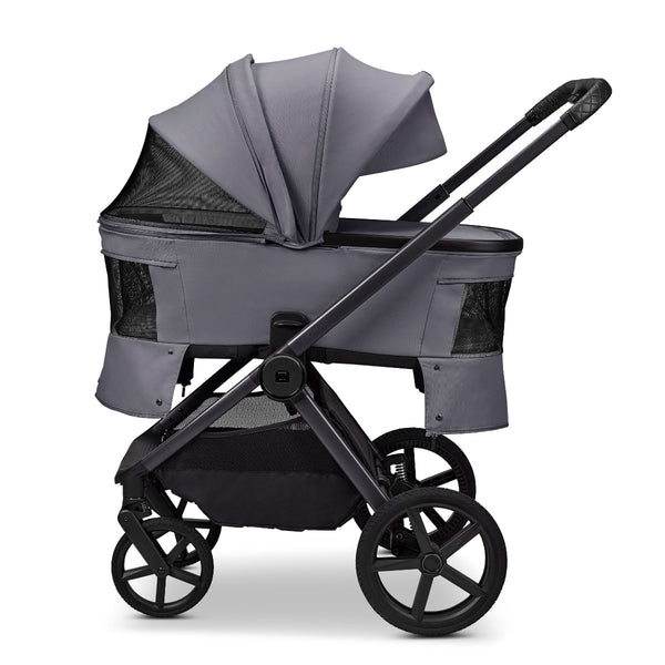 Moon Gio Fold 2026 Graphite