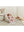 BabyBjörn Babywippe Bliss Blütenblatt Altrosa