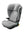 Thule Palm i-Size Mid Gray + Fußstütze (100cm - 150cm)