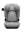 Thule Palm i-Size Mid Gray + Fußstütze (100cm - 150cm)